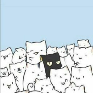 Meet your Posher, Max